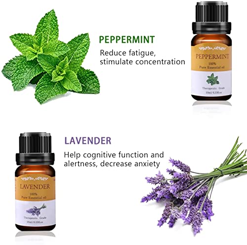 Aceites Esenciales para Humidificador, TOP 6 x10ml Aceites Esenciales Aromaterapia Naturales Puros para Difusor (Lavanda, Naranja Dulce, Menta, Arból de Té, Limoncillo, Eucalipto)