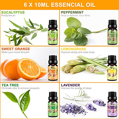 Aceites Esenciales para Humidificador,6 x 10 ml Aceites Esenciales Naturales y Puro,Set de Aromaterapia para Diffusor- Lavanda, Eucalipto, Limoncillo, Árbol de Té, Menta, Naranja Dulce| Set de Regalo