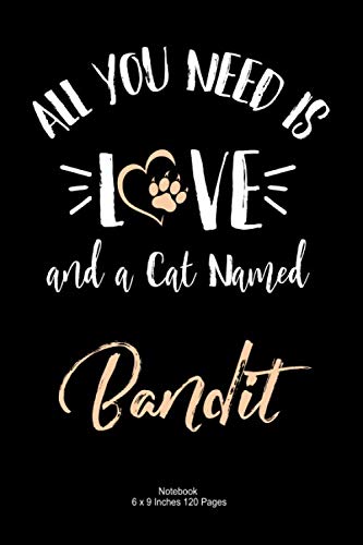 All You Need is Love and a cat Named Bandit: lined Notebook Journal To Write In 6x9, 120 pages | Cute Bandit Cat Name Notebook Journal | A perfect ... for men, women, boys, girls who Love Cats