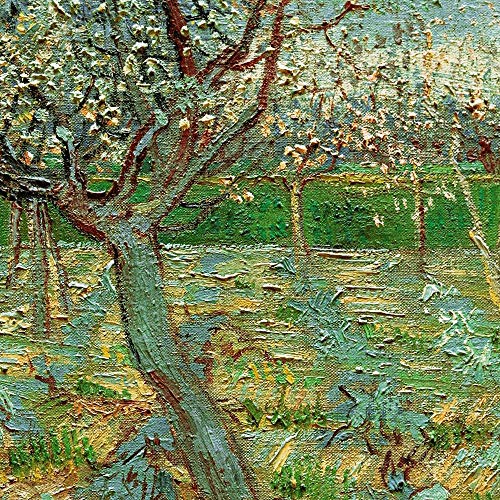 AMANUO Van Gogh Impresiones Pinturas Famosas sobre Lienzo Paisaje 60X50 cm Cuadros Enrollada - Albaricoqueros En Flor