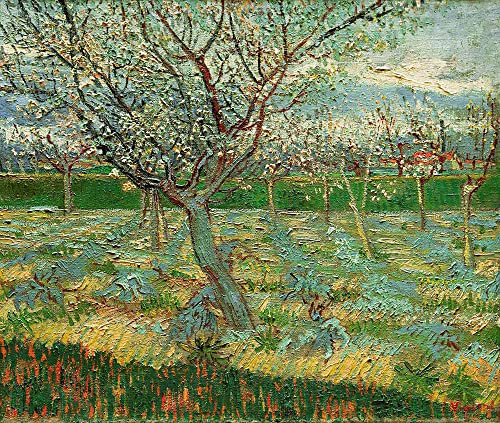 AMANUO Van Gogh Impresiones Pinturas Famosas sobre Lienzo Paisaje 60X50 cm Cuadros Enrollada - Albaricoqueros En Flor