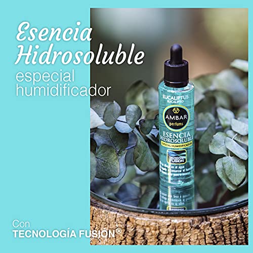 Ambar Perfums Esencias Hidrosolubles, bienestar natural. Tecnología Fusión para Humidificador. Tamaño XL, Pack 10 uds de 50 ml