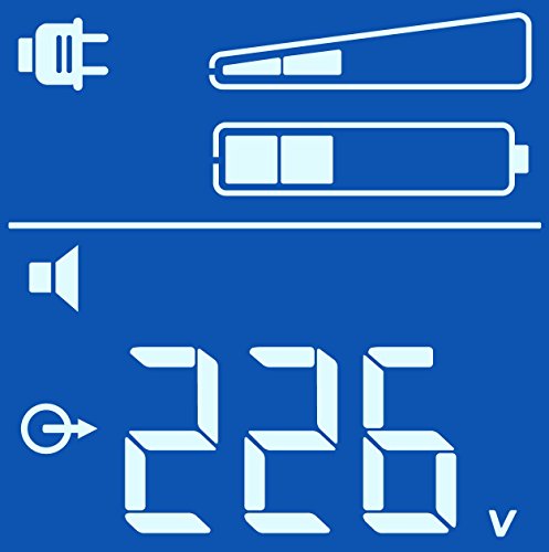 APC BR550GI Back-UPS PRO - Sistema de alimentación ininterrumpida SAI 550VA (6 salidas tipo IEC, AVR, USB, software de apagado)