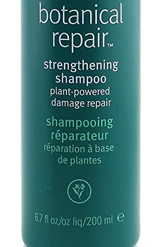 Aveda Botanical Repair Strenghtening Shampoo 200ml - Fortalecedor Para Cabello Dañado