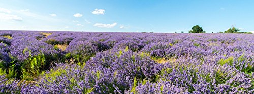 Baño Relajante de Lavanda - Weleda (200 ml) - Se envia con: muestra gratis y una tarjeta superbonita que puedes usar como marcápaginas!