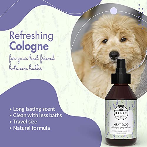 BELLY Colonia para Perros, Esencia Lavanda y Pomelo - Colonia Perros Cachorros y Adultos - Perfume Perro, Refrescante e Hidratante - Desodorante Perro, Aroma Duradero - Colonia Mascotas Vegana, 250ml