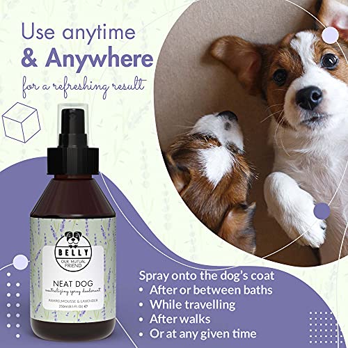 BELLY Colonia para Perros, Esencia Lavanda y Pomelo - Colonia Perros Cachorros y Adultos - Perfume Perro, Refrescante e Hidratante - Desodorante Perro, Aroma Duradero - Colonia Mascotas Vegana, 250ml