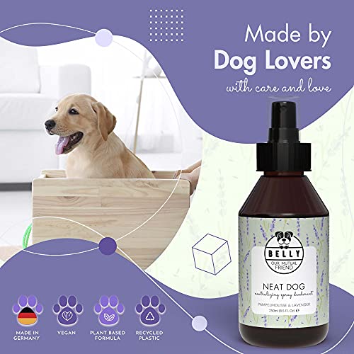 BELLY Colonia para Perros, Esencia Lavanda y Pomelo - Colonia Perros Cachorros y Adultos - Perfume Perro, Refrescante e Hidratante - Desodorante Perro, Aroma Duradero - Colonia Mascotas Vegana, 250ml