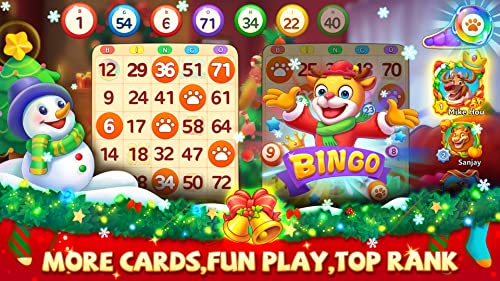 Bingo Wild - Free BINGO Games Online: Fun Bingo Game