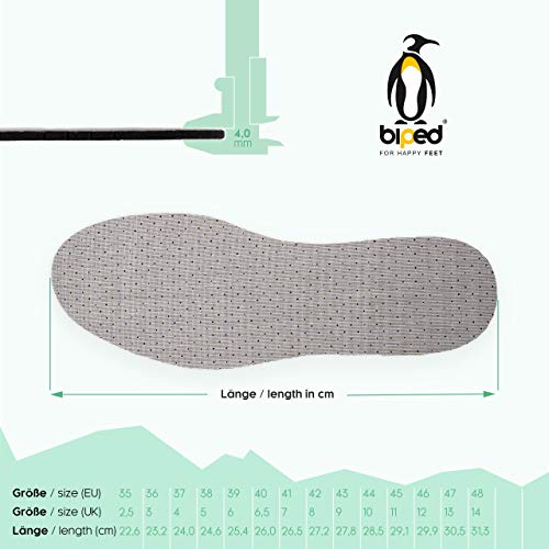 biped cinco pares de plantillas de carbón activo con acolchado de látex para una regulación climática, higiene y frescor en el calzado y en los pies z2727 (48)