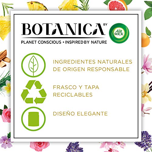 Botanica de Air Wick - Vela Aromática Perfumada Decorativa, Ambientador esencia para casa con aroma a Vainilla y Magnolia del Himalaya, con ingredientes naturales, Pack de 6