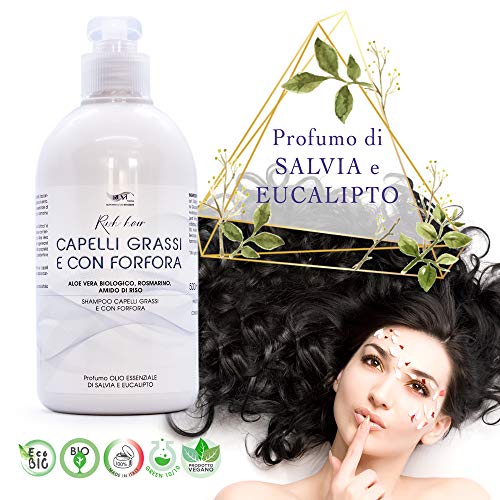 Champu Anticaspa Profesional 500ML Sebocorrector Cabello graso - Sin Sulfatos Ni Parabenos Antigrasa Con Phyto Keratina