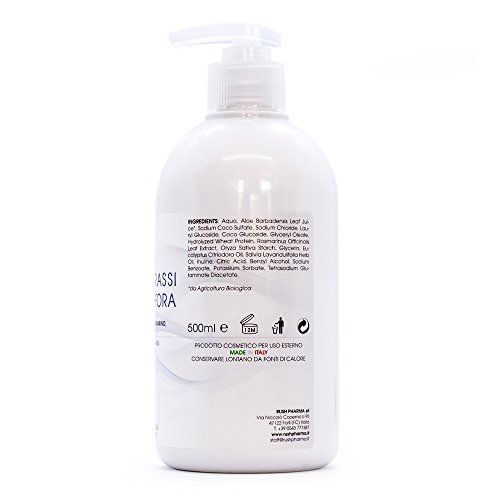 Champu Anticaspa Profesional 500ML Sebocorrector Cabello graso - Sin Sulfatos Ni Parabenos Antigrasa Con Phyto Keratina