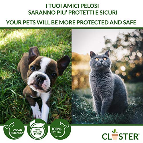 CLOSTER Neem Pet Protection Listo para Usar 500 Ml - Spray Antiparasitario Perros Antipulgas Gatos - Insecticida Pulgas contra Pulgas Y Garrapatas Ácaros Piojos Insectos para Perros Gatos Y Caballos