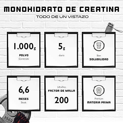 Creatina en polvo - 1kg / 1000 g - Monohidrato de creatina puro - Solubilidad óptima - Vegano - Sin aditivos - Polvo puro - German Elite Nutrition