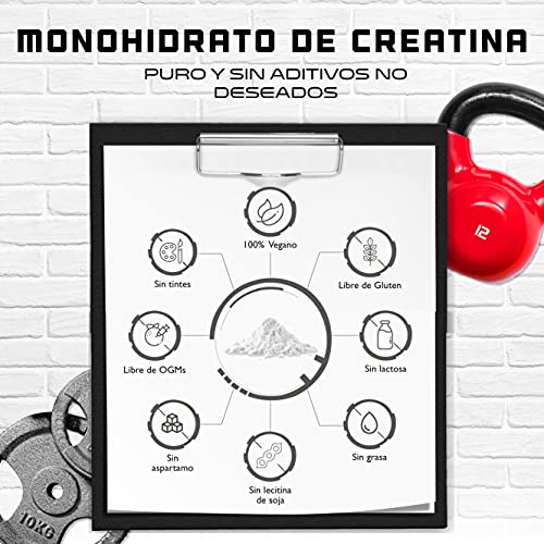 Creatina en polvo - 1kg / 1000 g - Monohidrato de creatina puro - Solubilidad óptima - Vegano - Sin aditivos - Polvo puro - German Elite Nutrition