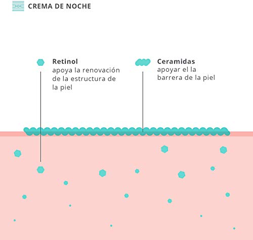 Crema facial de noche para mujer con sérum de ácido hialurónico y retinol - crema de cara hidratante para el contorno de ojos antiarrugas - cosmética natural, fabricada en Alemania