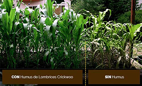 Crickwoo Humus de Lombriz Ecológico Puro 1000L El Mejor Fertilizante y abono para Todo Tipo de Plantas. Totalmente orgánico.