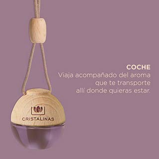 CRISTALINAS Pack de 4 Ambientadores de Coche – Absorbe los malos olores de tu vehículo con un agradable Aroma a Manzana