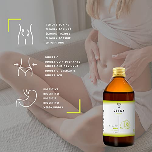 DETOX. Potente Fórmula Natural. Té Verde, Diente de León, Guaraná, Papaya. 10 Plantas Naturales de Rápida Absorción y Eficiencia. Activación y Equilibrio. 500ml. VEGANO. CE. N2 Natural Nutrition