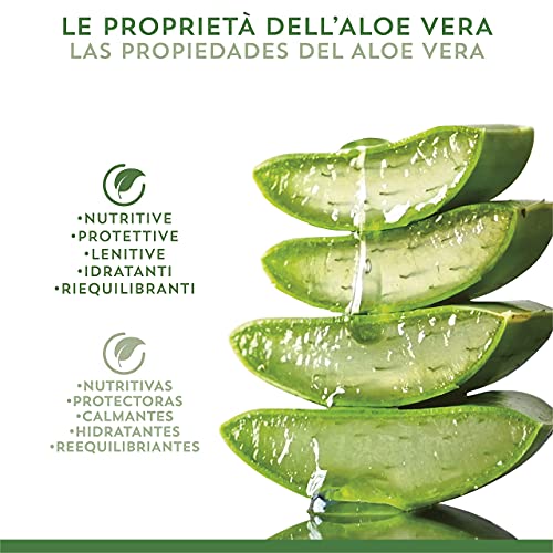 Equilibra Cuidado Corporal, Crema de Manos y Uñas a Base de Aloe Vera con Acción Hidratante, Calmante, Protectora y Reequilibrante de la Piel, Rápida Absorción, 75 ml