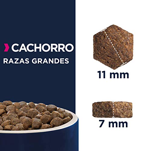 Eukanuba Alimento seco para cachorros de raza grande, rico en pollo fresco 15 kg