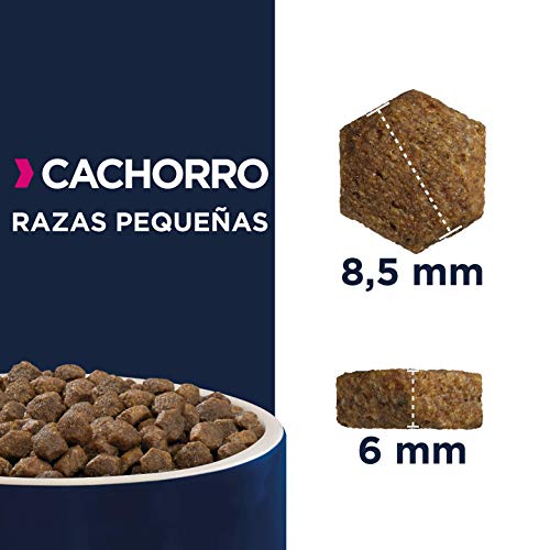 Eukanuba Alimento seco para cachorros de raza pequeña, rico en pollo fresco 3 kg