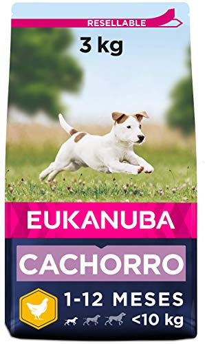 Eukanuba Alimento seco para cachorros de raza pequeña, rico en pollo fresco 3 kg