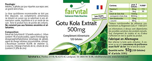 Extracto de Gotu Kola 500mg - Centella asiatica - Dosis elevada - VEGANO - 120 Cápsulas