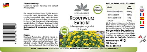 Extracto de Rhodiola rosea 500mg – 3% de rosavina – 60 cápsulas