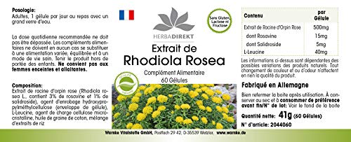 Extracto de Rhodiola rosea 500mg – 3% de rosavina – 60 cápsulas