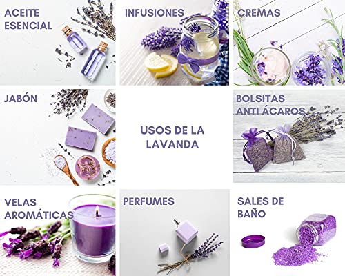 Flor de Lavanda Seca a Granel 100% Naturales y Aromáticas para Decorar, o elaborar ambientador, Aceite Esencial, jabón y cosméticos (250g)