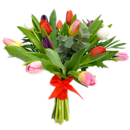 Florclick - Ramo de 15 Tulipanes con tarjeta dedicatoria gratuita. Flores frescas entrega en 24 horas