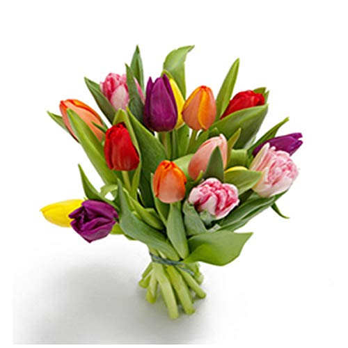 Florclick - Ramo de 15 Tulipanes con tarjeta dedicatoria gratuita. Flores frescas entrega en 24 horas