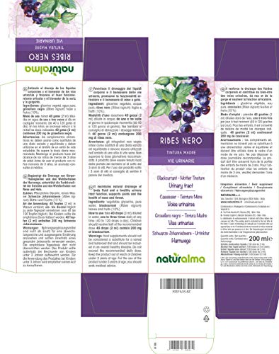 Grosellero negro (Ribes nigrum) hojas y frutos Tintura Madre sin alcohol Naturalma | Extracto líquido gotas 200 ml | Complemento alimenticio | Vegano