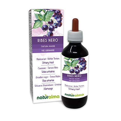 Grosellero negro (Ribes nigrum) hojas y frutos Tintura Madre sin alcohol Naturalma | Extracto líquido gotas 200 ml | Complemento alimenticio | Vegano