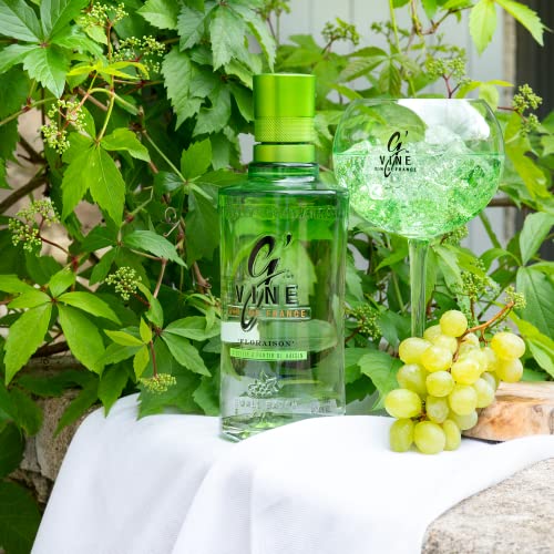 G'Vine – Ginebra 700ML, 40º - Ginebra Premium - Elaborada con una base de uva francesa