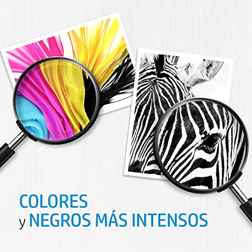 HP 305 6ZD17AE, Negro y Tricolor, Cartuchos de Tinta Originales, Pack de 2, Compatible con impresoras de inyección de tinta HP Deskjet 2710, 2720, 2721; HP Deskjet Plus 4110, 4120, 4130; HP Envy 6020