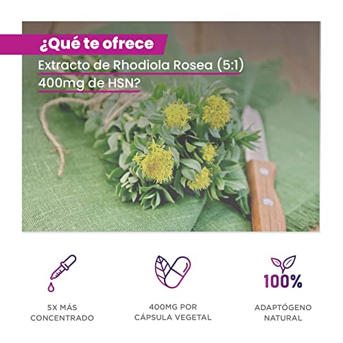 HSN Extracto de Rhodiola Rosea 120 Cápsulas Vegetales de 400 MG | Suplemento para el Estrés | 5X Más Concentración con 3% de Rosavinas, 1% Salidrosidas | No-GMO, Vegano, Sin Gluten