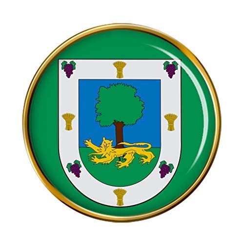 Insignia de Pin de La Florida (Chile)