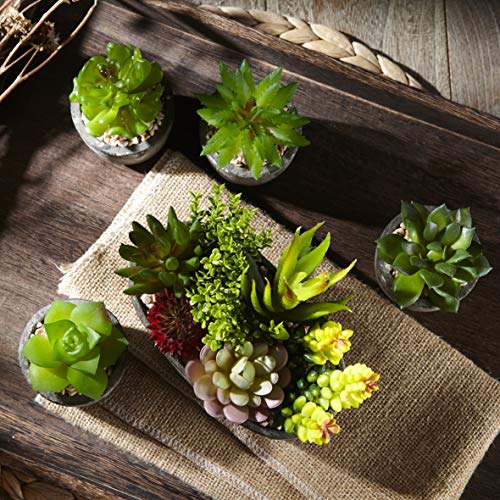 Jobary 5pcs Plantas Suculentas Artificiales Falso Plantas Decorativas Suculentas，Ideal para el Hogar, Oficina y Decoración al aire libre Falso Plantas