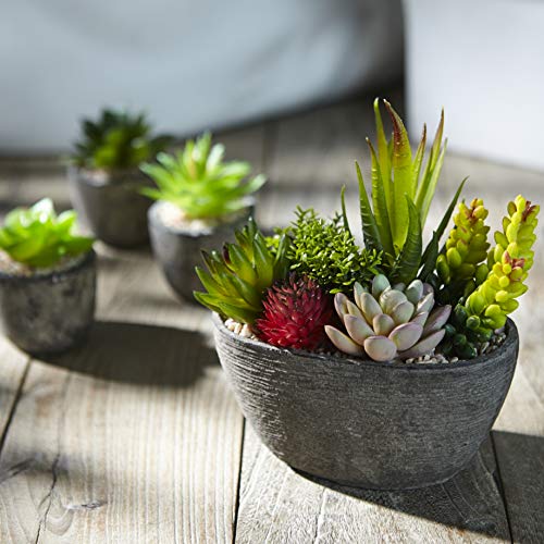 Jobary 5pcs Plantas Suculentas Artificiales Falso Plantas Decorativas Suculentas，Ideal para el Hogar, Oficina y Decoración al aire libre Falso Plantas