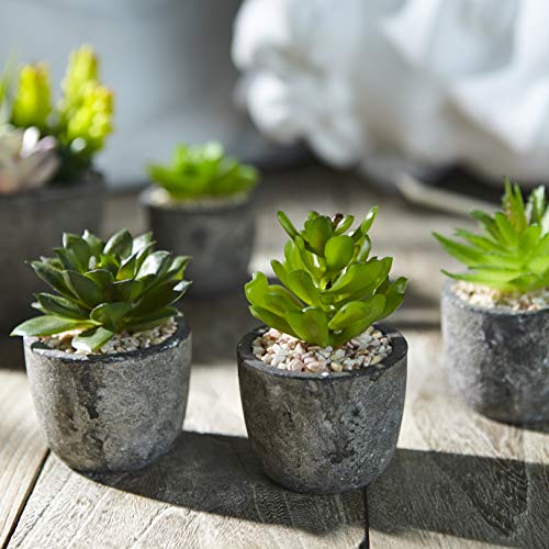 Jobary 5pcs Plantas Suculentas Artificiales Falso Plantas Decorativas Suculentas，Ideal para el Hogar, Oficina y Decoración al aire libre Falso Plantas