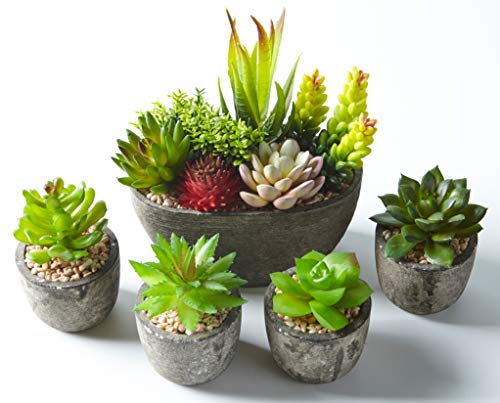 Jobary 5pcs Plantas Suculentas Artificiales Falso Plantas Decorativas Suculentas，Ideal para el Hogar, Oficina y Decoración al aire libre Falso Plantas