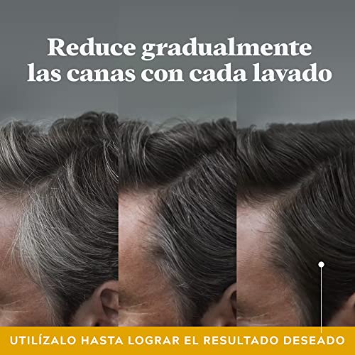 Just For Men Control GX Champú + Acondicionador. Reduce Las Canas Gradualmente. Resultado Natural. 118ml