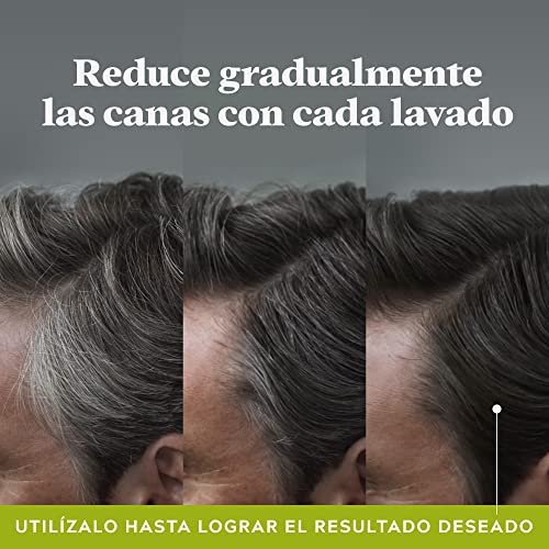 Just for men Control GX Champú. Reduce las canas gradualmente. Resultado natural. 118 ml