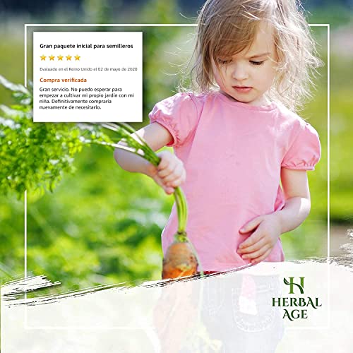 Kit Semillas Huerto Urbano - 12 Variedades De Plantas Aromáticas, 8700 Semillas Para Cultivar De Hierbas Frescas En Casa, En Terraza, En Jardin - Regalos Originales Para Mujer, Hombre, Niños, Amigas