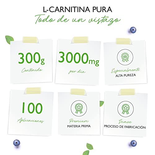 L-Carnitina Pura - 300 g de polvo puro sin aditivos - 100% L-Carnitina Tartrato - 100 raciones con 3000 mg de Carnitina en polvo - Vegano - Alta dosis