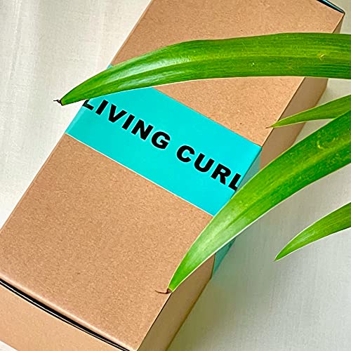 LIVING CURL Champú sin sulfatos ni parabenos ni siliconas para Pelo Rizado