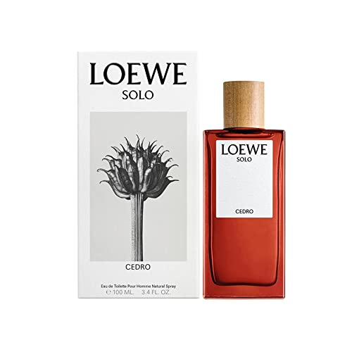 Loewe solo cedro etv 100ml